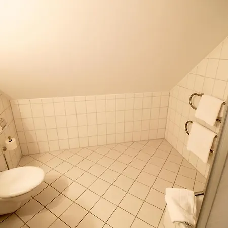 Hotel Fallersleber Spieker 3*